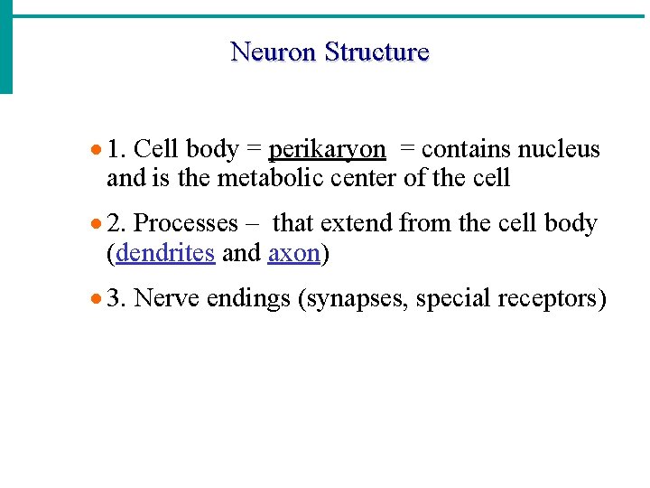 Neuron Structure · 1. Cell body = perikaryon = contains nucleus and is the Neuron Structure · 1. Cell body = perikaryon = contains nucleus and is the