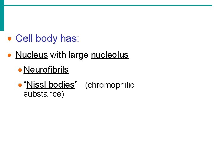 · Cell body has: · Nucleus with large nucleolus · Neurofibrils · “Nissl bodies” · Cell body has: · Nucleus with large nucleolus · Neurofibrils · “Nissl bodies”