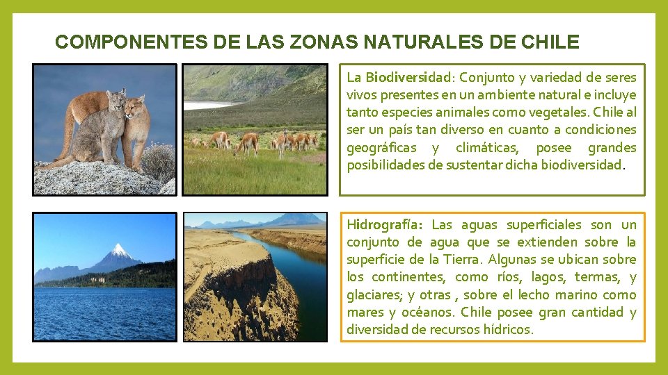 COMPONENTES DE LAS ZONAS NATURALES DE CHILE La Biodiversidad: Conjunto y variedad de seres