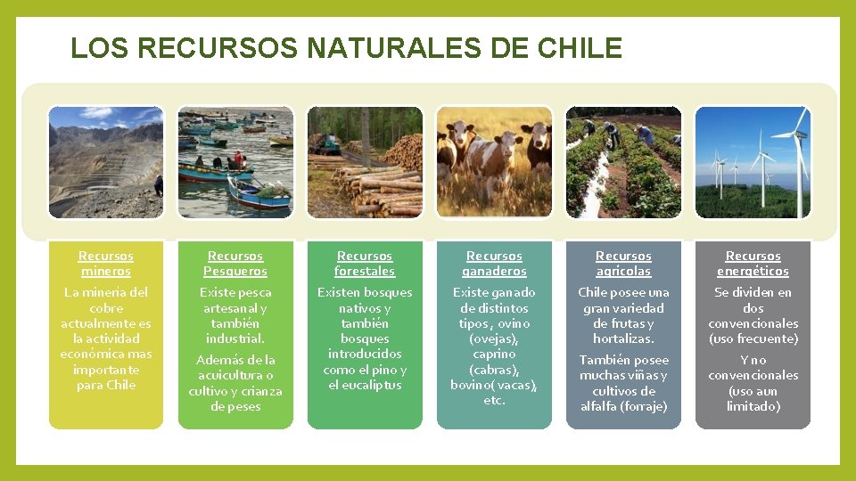 LOS RECURSOS NATURALES DE CHILE Recursos mineros Recursos Pesqueros Recursos forestales Recursos ganaderos Recursos