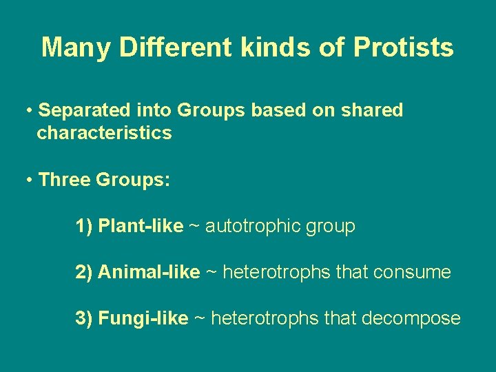 Many Different kinds of Protists • Separated into Groups based on shared characteristics •