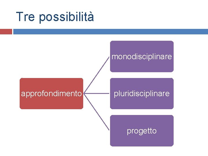 Tre possibilità monodisciplinare approfondimento pluridisciplinare progetto 