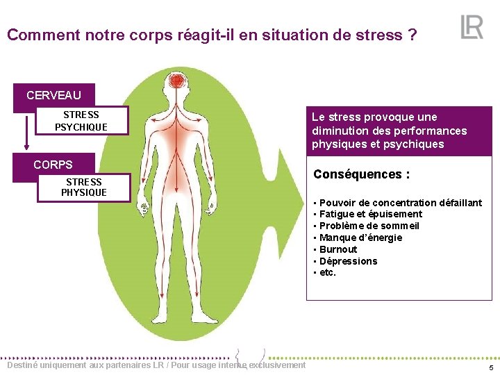 Comment notre corps réagit-il en situation de stress ? CERVEAU STRESS PSYCHIQUE CORPS STRESS