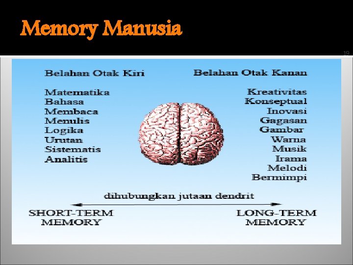 Memory Manusia 19 