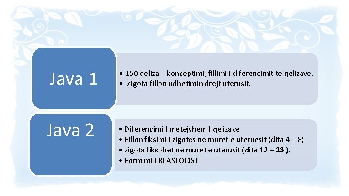 Java 1 Java 2 • 150 qeliza – konceptimi; fillimi I diferencimit te qelizave.