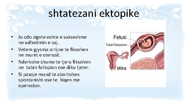 shtatezani ektopike • Jo cdo zigote eshte e sukseshme ne udhetimin e saj. •