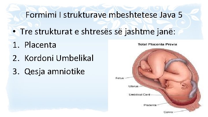 Formimi I strukturave mbeshtetese Java 5 • Tre strukturat e shtresës së jashtme janë: