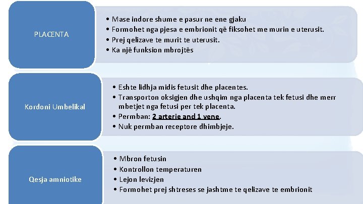 PLACENTA Kordoni Umbelikal Qesja amniotike • • Mase indore shume e pasur ne ene