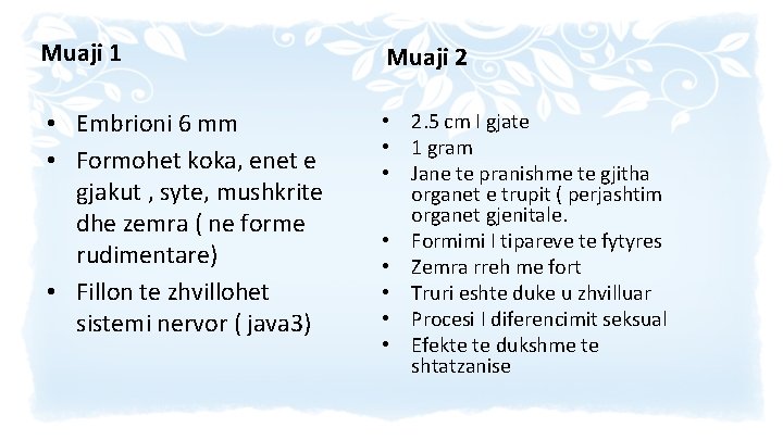 Muaji 1 Muaji 2 • Embrioni 6 mm • Formohet koka, enet e gjakut