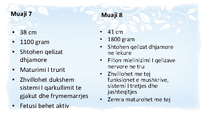 Muaji 7 Muaji 8 • 38 cm • 1100 gram • Shtohen qelizat dhjamore