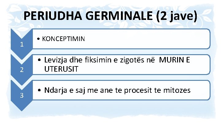 PERIUDHA GERMINALE (2 jave) 1 2 3 • KONCEPTIMIN • Levizja dhe fiksimin e