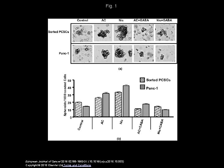 Fig. 1 European Journal of Cancer 2016 52188 -196 DOI: (10. 1016/j. ejca. 2015.