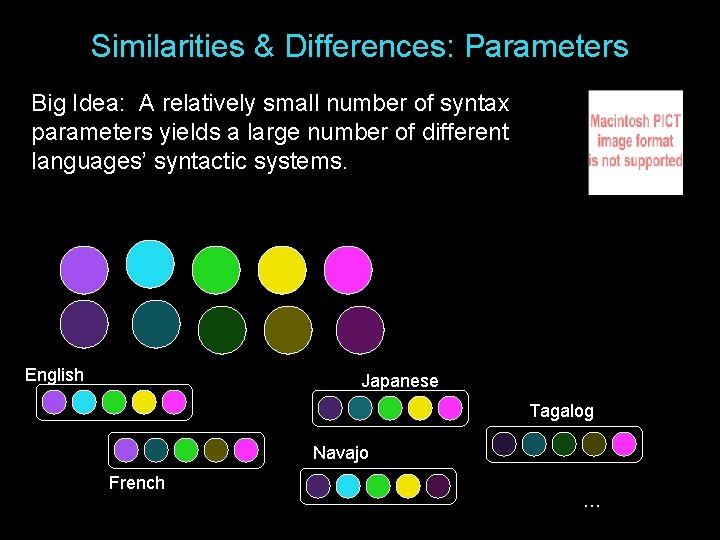 Similarities & Differences: Parameters Big Idea: A relatively small number of syntax parameters yields Similarities & Differences: Parameters Big Idea: A relatively small number of syntax parameters yields
