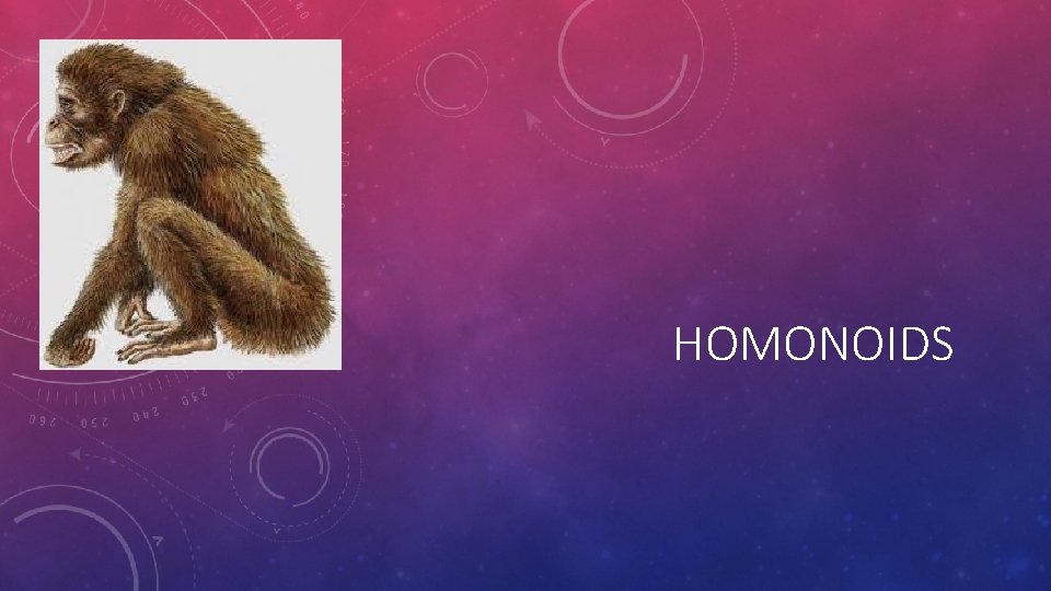 HOMONOIDS 
