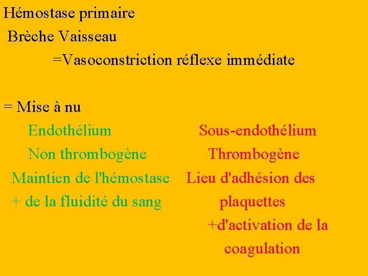 Hémostase primaire Brèche Vaisseau =Vasoconstriction réflexe immédiate = Mise à nu Endothélium Non thrombogène