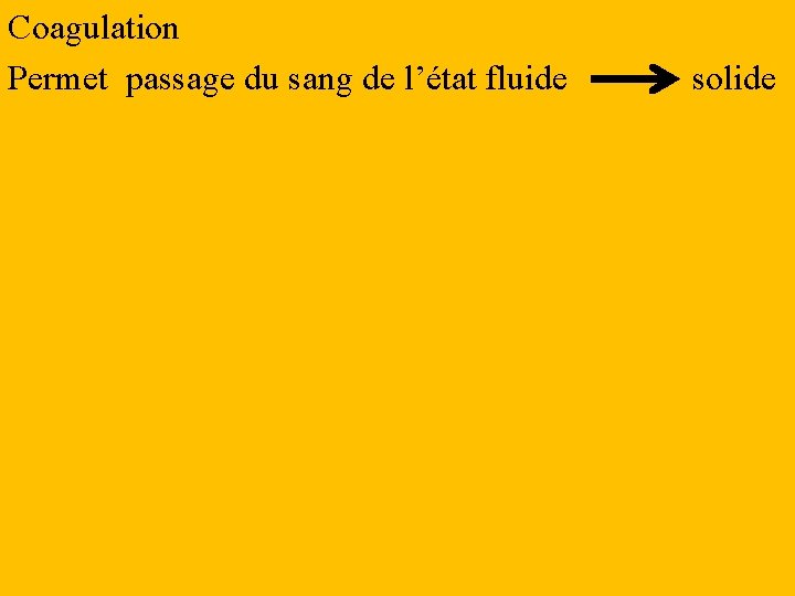 Coagulation Permet passage du sang de l’état fluide solide 