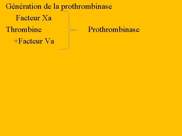 Génération de la prothrombinase Facteur Xa Thrombine Prothrombinase +Facteur Va 