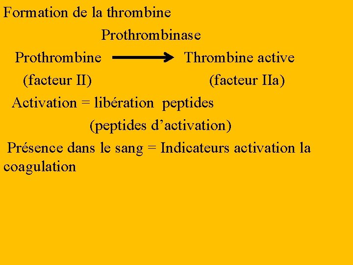 Formation de la thrombine Prothrombinase Prothrombine Thrombine active (facteur II) (facteur IIa) Activation =
