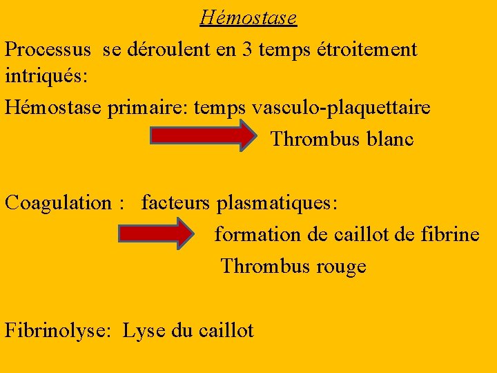 Hémostase Processus se déroulent en 3 temps étroitement intriqués: Hémostase primaire: temps vasculo-plaquettaire Thrombus