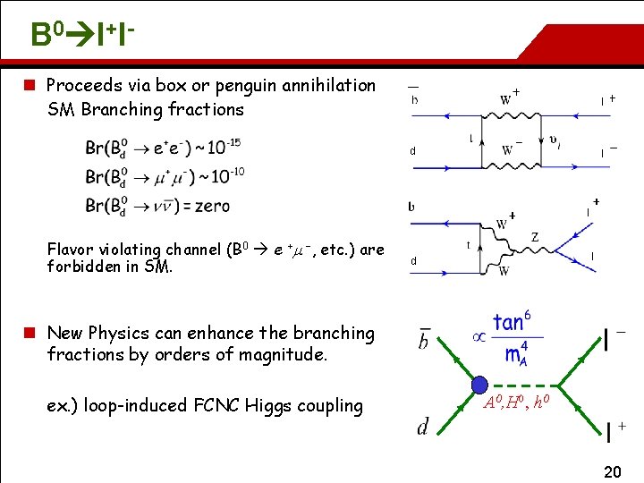 B 0 l+ln Proceeds via box or penguin annihilation SM Branching fractions l d