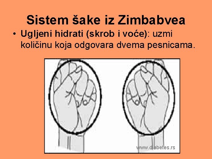 Sistem šake iz Zimbabvea • Ugljeni hidrati (skrob i voće): uzmi količinu koja odgovara