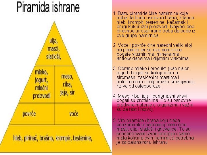  1. Bazu piramide čine namirnice koje treba da budu osnovna hrana, žitarice. hleb,