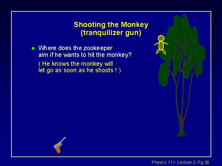 Shooting the Monkey (tranquilizer gun) l Where does the zookeeper aim if he wants