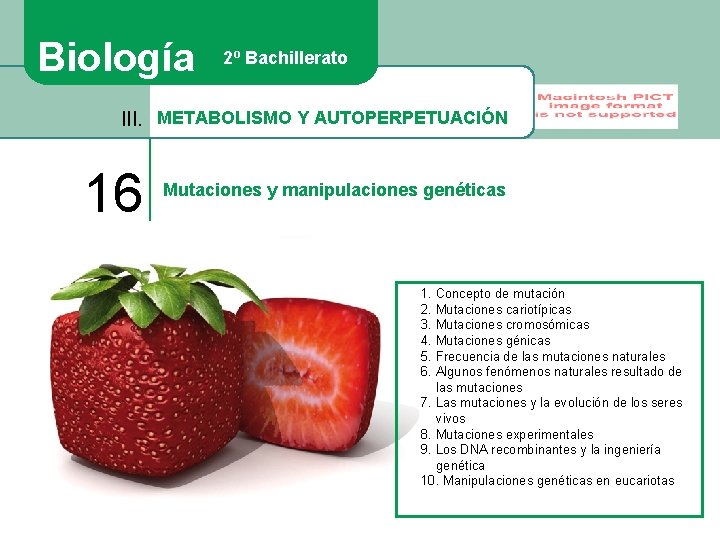 Biología 2º Bachillerato III. METABOLISMO Y AUTOPERPETUACIÓN 16 Mutaciones y manipulaciones genéticas 1. Concepto