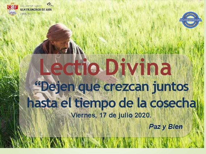 Lectio Divina “Dejen que crezcan juntos hasta el tiempo de la cosecha Viernes, 17 Lectio Divina “Dejen que crezcan juntos hasta el tiempo de la cosecha Viernes, 17
