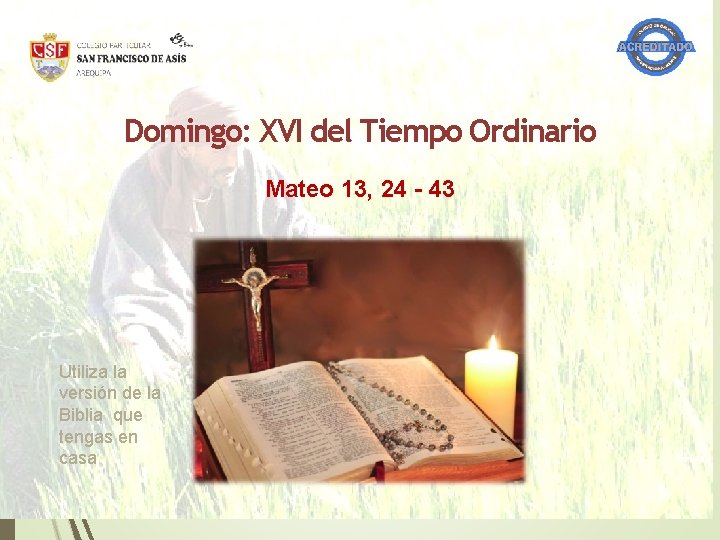 Domingo: XVI del Tiempo Ordinario Mateo 13, 24 - 43 Utiliza la versión de Domingo: XVI del Tiempo Ordinario Mateo 13, 24 - 43 Utiliza la versión de