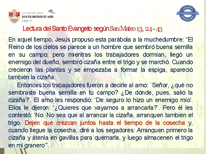 Lectura del Santo Evangelio según San Mateo 13, 24 - 43 En aquel tiempo, Lectura del Santo Evangelio según San Mateo 13, 24 - 43 En aquel tiempo,