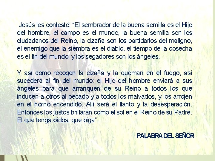Jesús les contestó: “El sembrador de la buena semilla es el Hijo del hombre, Jesús les contestó: “El sembrador de la buena semilla es el Hijo del hombre,