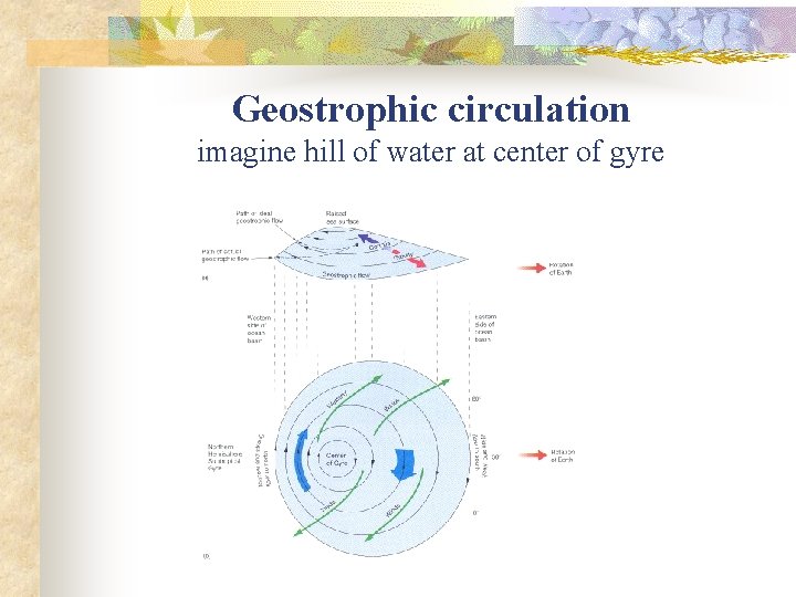 Geostrophic circulation imagine hill of water at center of gyre 