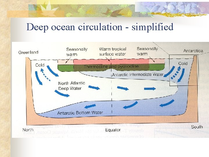 Deep ocean circulation - simplified 