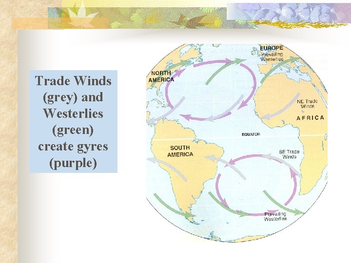 Trade Winds (grey) and Westerlies (green) create gyres (purple) 