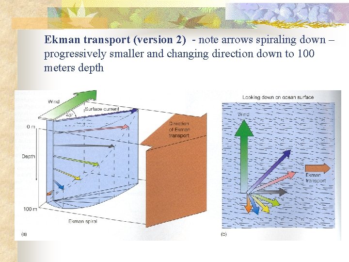 Ekman transport (version 2) - note arrows spiraling down – progressively smaller and changing