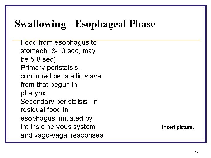 Swallowing - Esophageal Phase • • • Food from esophagus to stomach (8 -10