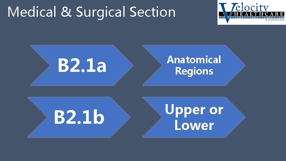 Medical & Surgical Section B 2. 1 a Anatomical Regions B 2. 1 b