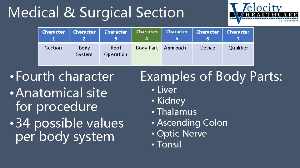 Medical & Surgical Section Character 1 Character 2 Character 3 Character Section Body System