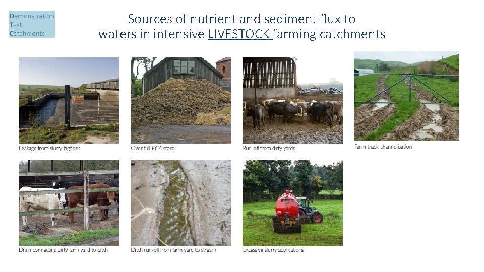 Sources of nutrient and sediment flux to waters in intensive LIVESTOCK farming catchments 