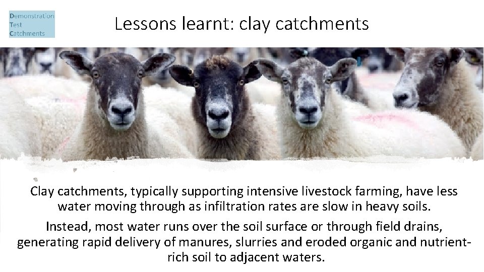 Lessons learnt: clay catchments Clay catchments, typically supporting intensive livestock farming, have less water