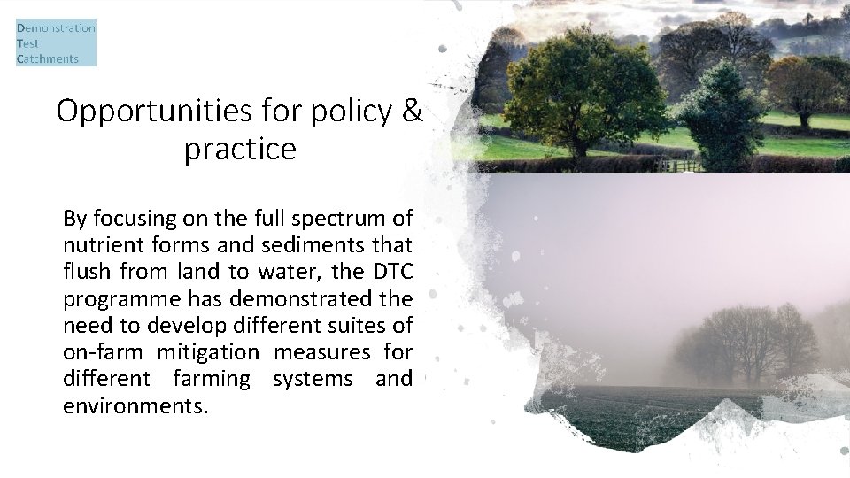 Opportunities for policy & practice By focusing on the full spectrum of nutrient forms