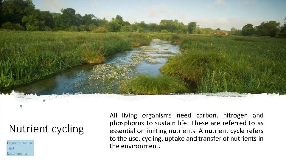 Nutrient cycling All living organisms need carbon, nitrogen and phosphorus to sustain life. These