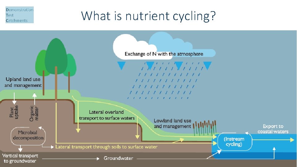 What is nutrient cycling? 