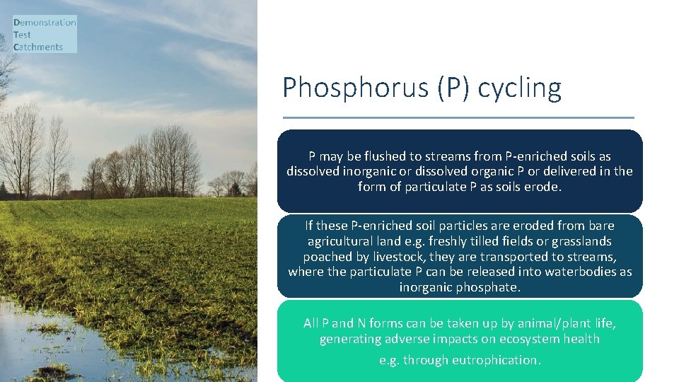 Phosphorus (P) cycling P may be flushed to streams from P-enriched soils as dissolved