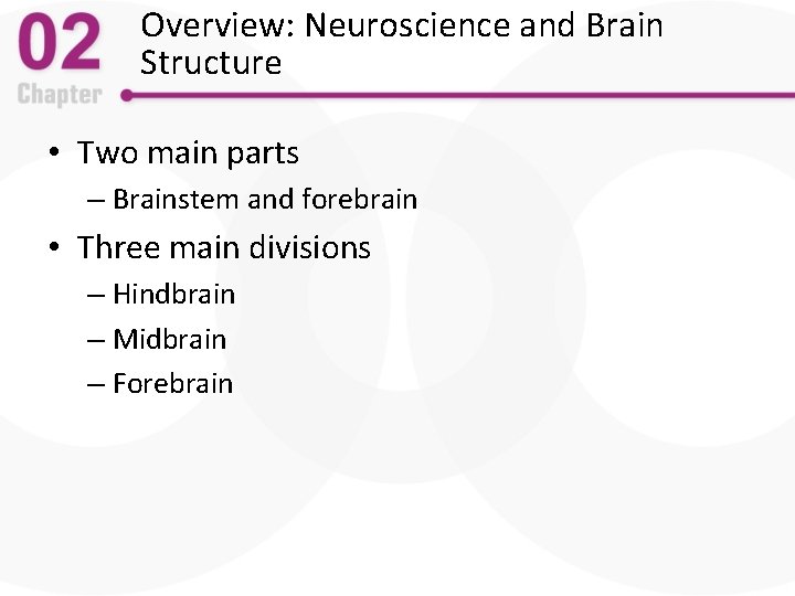 Overview: Neuroscience and Brain Structure • Two main parts – Brainstem and forebrain •