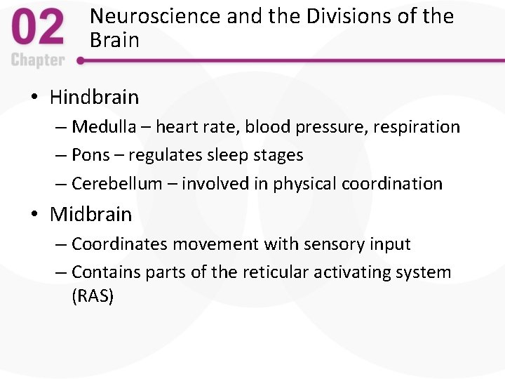 Neuroscience and the Divisions of the Brain • Hindbrain – Medulla – heart rate,