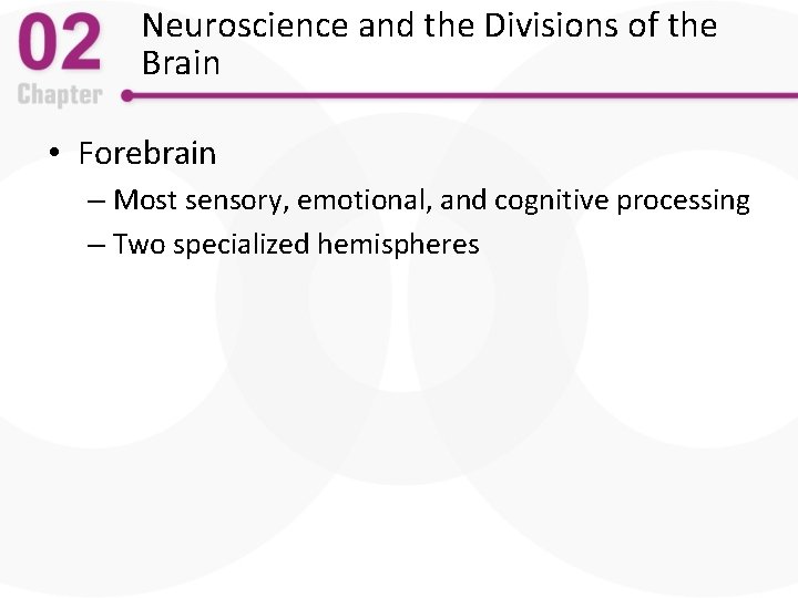 Neuroscience and the Divisions of the Brain • Forebrain – Most sensory, emotional, and