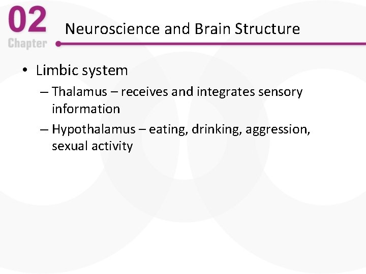 Neuroscience and Brain Structure • Limbic system – Thalamus – receives and integrates sensory