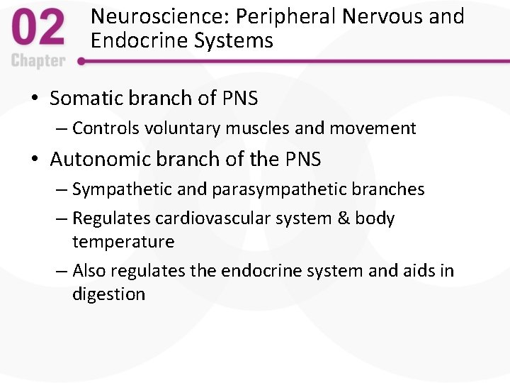 Neuroscience: Peripheral Nervous and Endocrine Systems • Somatic branch of PNS – Controls voluntary